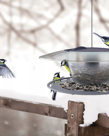 MODERNIŠIAUKLA LESYKLA PAUKŠČIAMS SU 1 KG LESALO BIRDYFEED ROUND TVIRTA