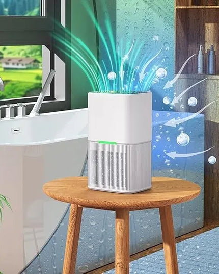 Namų oro sausintuvas 1600ml su automatiniu išsijungimu tylus baltas