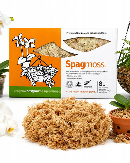 Natūralios Besgrow Sphagnum samanos, 100g 8L, Naujoji Zelandija