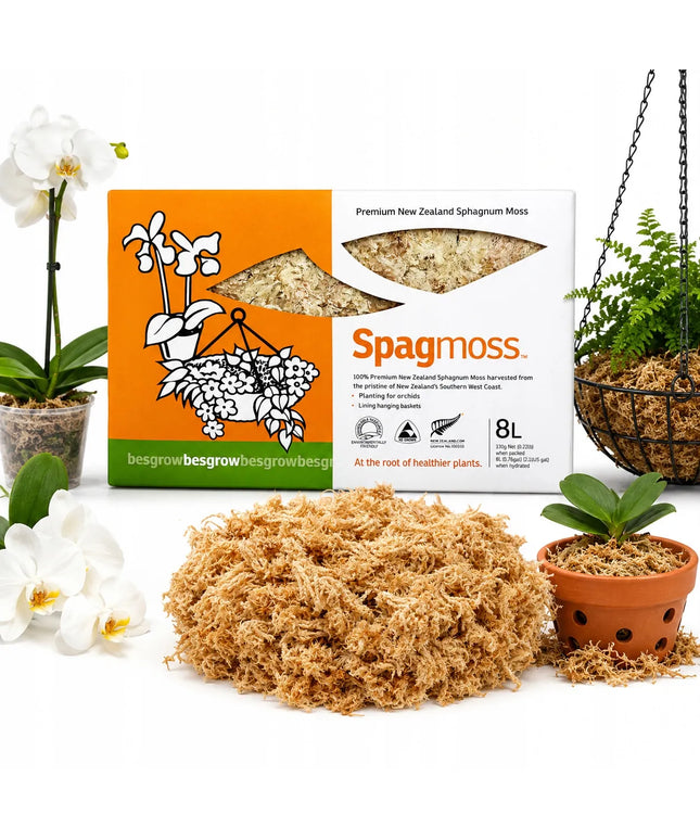 Natūralios Besgrow Sphagnum samanos, 100g 8L, Naujoji Zelandija