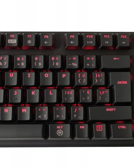 NAUJA KLAVIATŪRA IR PELĖ ACER PREDATOR USB ČEKIŠKA