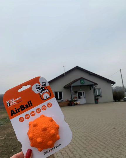 Nenaiždomas šunų kamuolys Explorer Dog originalus ir geresnis
