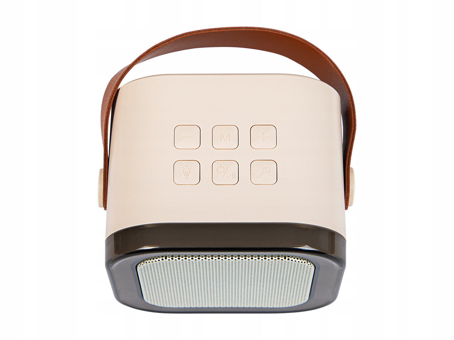 Nešiojama karaoke kolonėlė su dviem mikrofonais, Bluetooth, USB, SD ir RGB apšvietimu