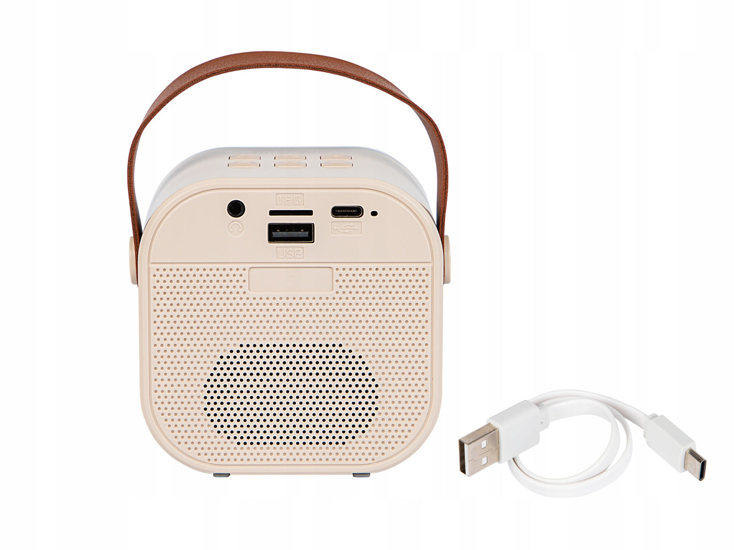 Nešiojama karaoke kolonėlė su dviem mikrofonais, Bluetooth, USB, SD ir RGB apšvietimu