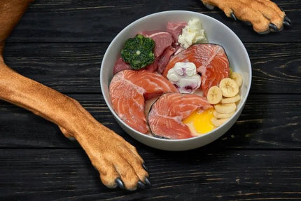Norvegiškas lašišų aliejus šunims ir katėms Mersjo Salmon Oil Omega 3 ir 6, 1000 ml