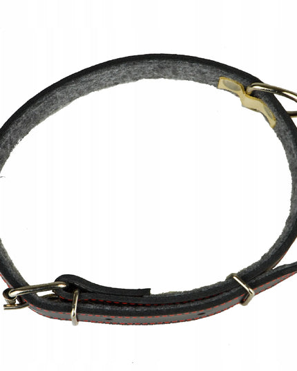 Odinė šuns antkaklis, didelis, reguliuojamas, 40-60 cm, 70