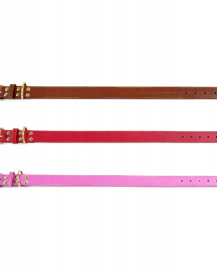 Odinė šuns antkaklis su graviravimu DOGESTE, įvairių spalvų, stiprus – XL 50–55 cm