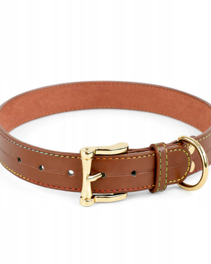 Odinė šuns antkaklis su graviravimu DOGESTE, įvairių spalvų, stiprus – XL 50–55 cm