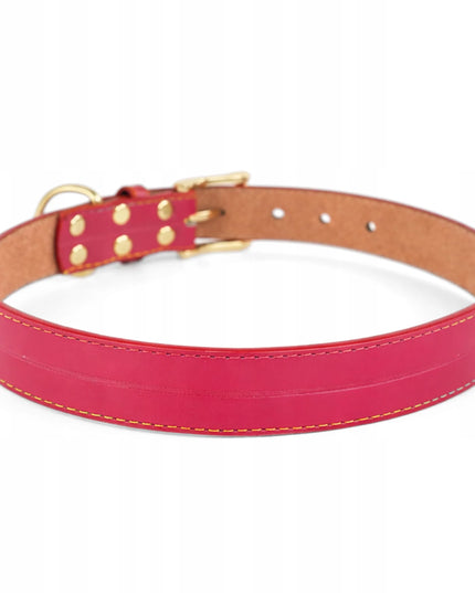 Odinė šuns antkaklis su graviravimu DOGESTE, įvairių spalvų, stiprus – XL 50–55 cm