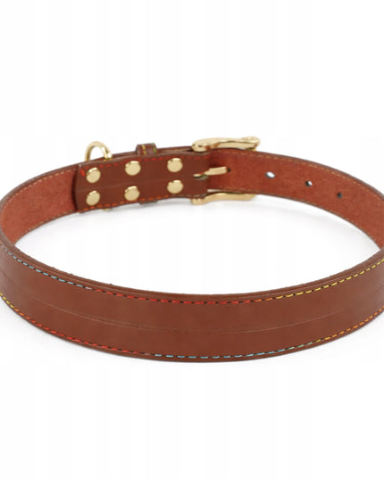 Odinė šuns antkaklis su graviravimu DOGESTE, įvairių spalvų, stiprus – XL 50–55 cm