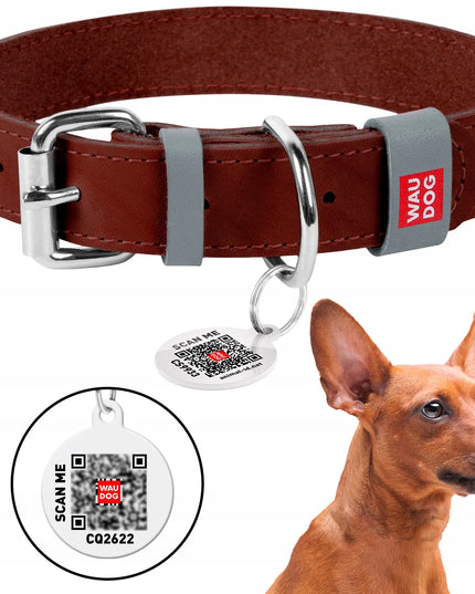 Odinė šuns antkaklis Waudog Classic + QR adresinė nemokamai, ruda, S dydis