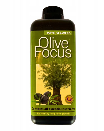 Olive Focus 1L trąšos alyvmedžiams Growth Technology