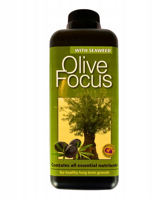 Olive Focus 1L trąšos alyvmedžiams Growth Technology