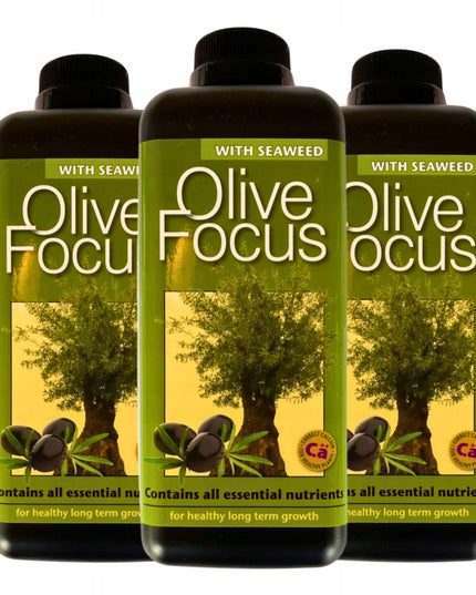 Olive Focus 1L trąšos alyvmedžiams Growth Technology