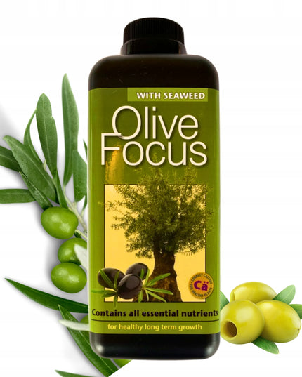 Olive Focus 1L trąšos alyvmedžiams Growth Technology