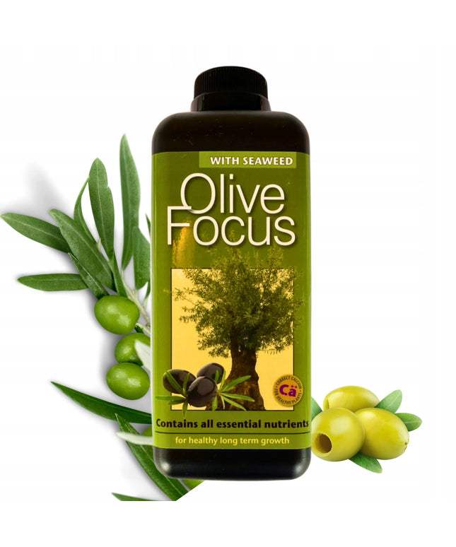 Olive Focus 1L trąšos alyvmedžiams Growth Technology