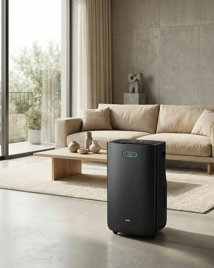 Oro sausintuvas BOSTE drėgmės surinkėjas 20L 6,5L higrostatas LED HEPA 13