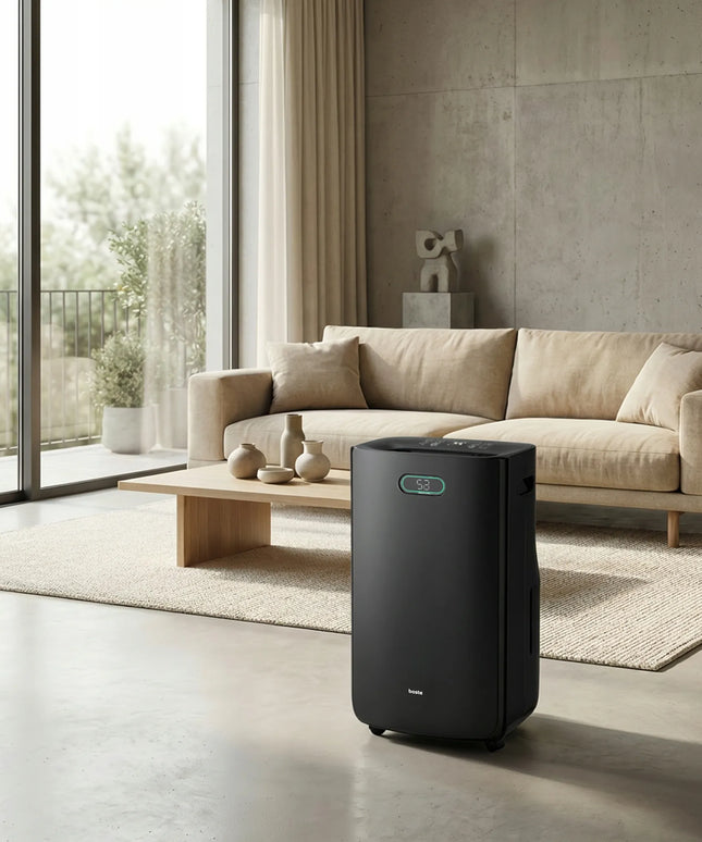 Oro sausintuvas BOSTE drėgmės surinkėjas 20L 6,5L higrostatas LED HEPA 13
