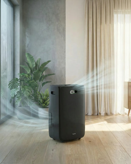 Oro sausintuvas BOSTE drėgmės surinkėjas 20L 6,5L higrostatas LED HEPA 13