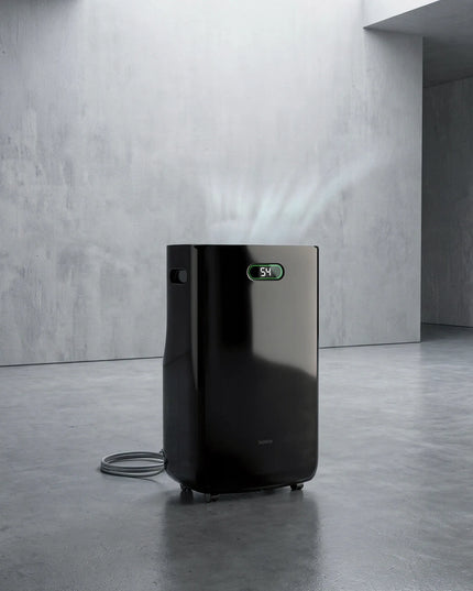 Oro sausintuvas BOSTE drėgmės surinkėjas 20L 6,5L higrostatas LED HEPA 13