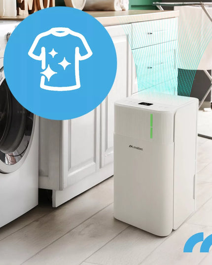 Oro sausintuvas drėgmės sugėriklis tylus WiFi laikmatis higrostatas 12L/24H