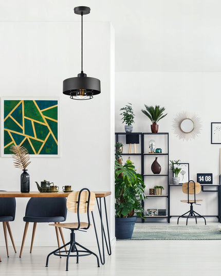 Pakabinamas lubinis šviestuvas loft stiliaus juodas matinis E27 Edison virtuvei ir svetainei