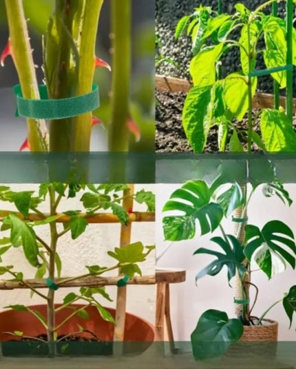 Parkside augų segtukai, 150 vnt., daugkartinio naudojimo, žali