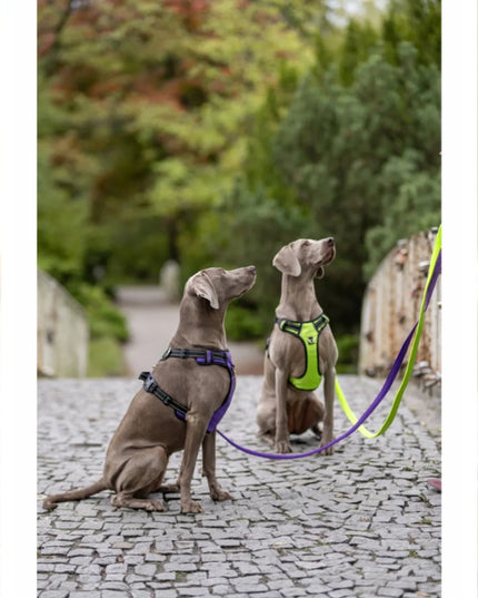 Pavadėlis šunims HUGGY DOGGY Walky 2m, tvirtas, atspindintis šviesą, S dydis, juodas