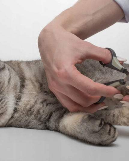 Pet Nova nagų žirklės katėms ir šunims