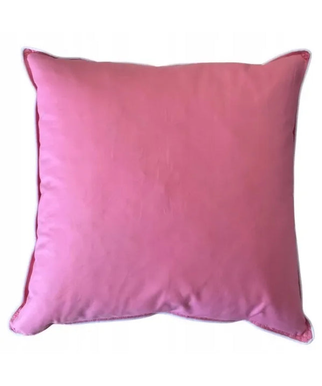 Pieria pagalvė 40x40 500g 3 spalvos