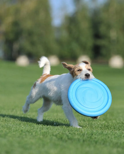 PitchDog žaislas šunims, skraidantis diskas, 24 cm skersmens, rožinis