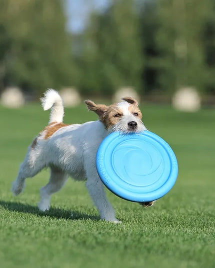 PitchDog žaislas šunims, skraidantis diskas, 24 cm skersmens, rožinis