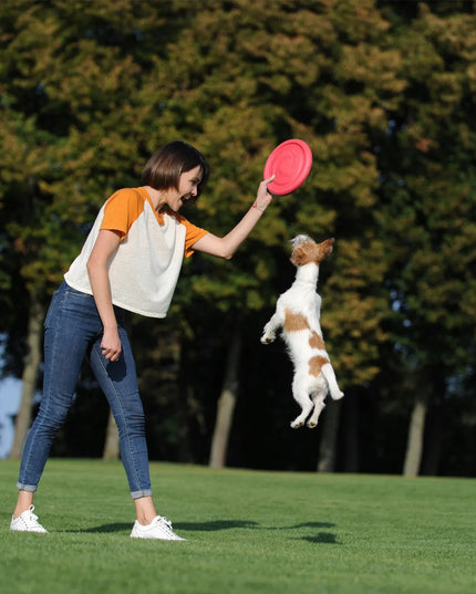 PitchDog žaislas šunims, skraidantis diskas, 24 cm skersmens, rožinis