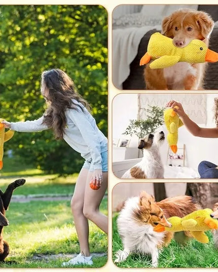 Pliušinis žaislas šunims – raminanti antis miegui ir kramtymui, 25 cm