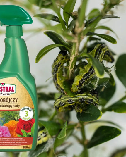 POLYSECT NATUREN insekticidas nuo amarų ir voratinklinių erkių, purškiklis 800 ml SUBSTRAL