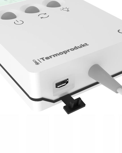 Profesionalus skaitmeninis termometras su jutikliu DT-1