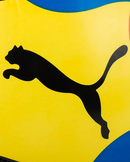 Puma Beach Football MS paplūdimio futbolo kamuolys, 5 dydis + pompa