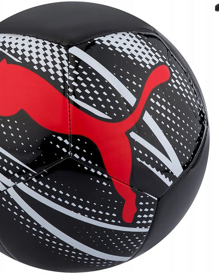 Puma futbolo kamuolys treniruotėms, 5 dydis, komplektas su pompa
