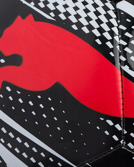 Puma futbolo kamuolys treniruotėms, 5 dydis, komplektas su pompa