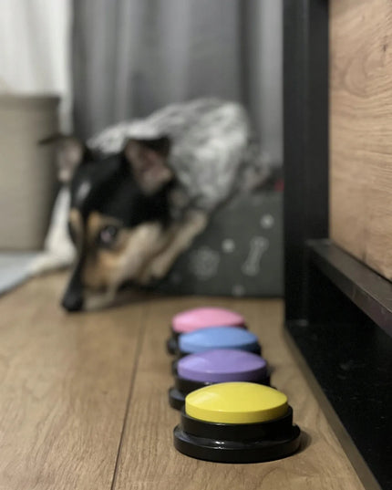 Purlov garsiniai mygtukai šunims – bendravimo mokymosi rinkinys, 4 vnt.