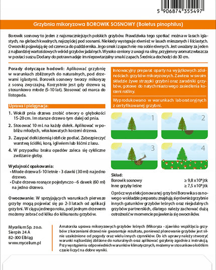 Pušyninis baravykas, tikrinis baravykas – sodo grybiena XL