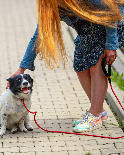 Ragi dresiruotojo pavadėlis šunims su apsauga nuo uždusimo, 2,2 m, ø 12 mm