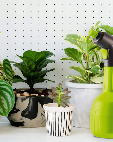 Rankinis elektrinis automatinis purkštuvas namams GardenBlast No-Pest 1L