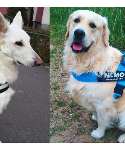 RAUDONA ŠVIESĄ ATSPINDINTI PRIEDOŠKA SKIRTĄ JULIUS K9 1-4