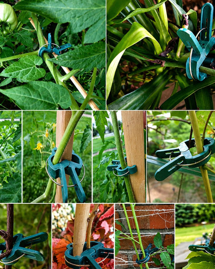 Real Garden augalų tvirtinimo spaustukai pomidorams, 20 vnt.