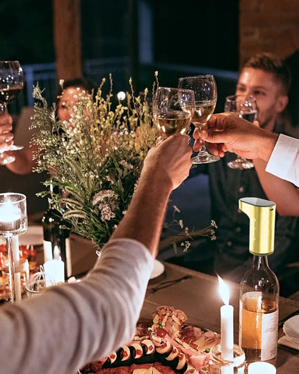 REDSACK PREMIUM elektrinis vyno, degtinės, viskio ir gėrimų dalytuvas WP 007