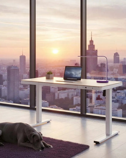 Reguliuojamo aukščio elektrinis stalas 120x60 su stalčiumi, USB jungtimis ir 80 kg keliama galia – Spacetronik