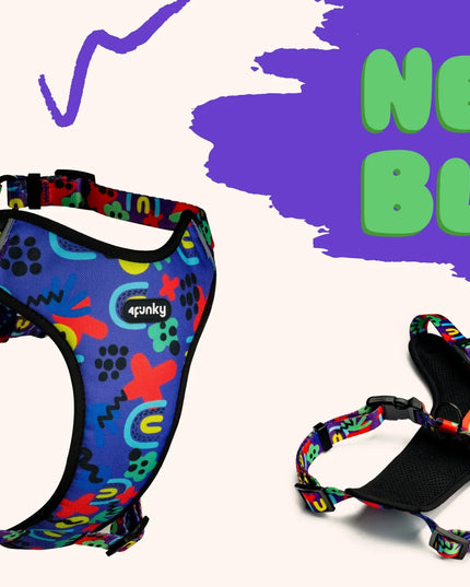 Reguliuojamos petnešos šunims ir katėms S Guard Comfort 4Funky | Neon Bloom