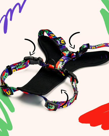 Reguliuojamos petnešos šunims ir katėms S Guard Comfort 4Funky | Neon Bloom