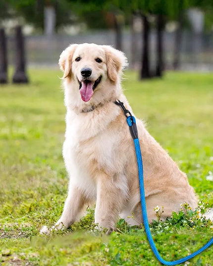RETOO EazyPet šuns pavadėlis treniruočių, 150 cm, šviesą atspindintis